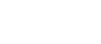 SEGA GPU